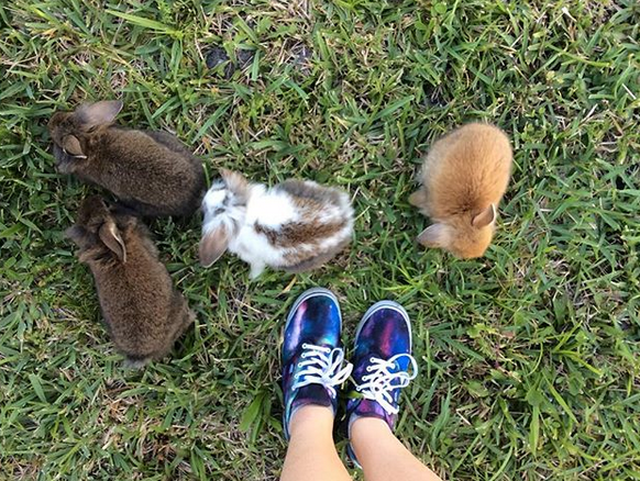 four baby rabbits at person's feet