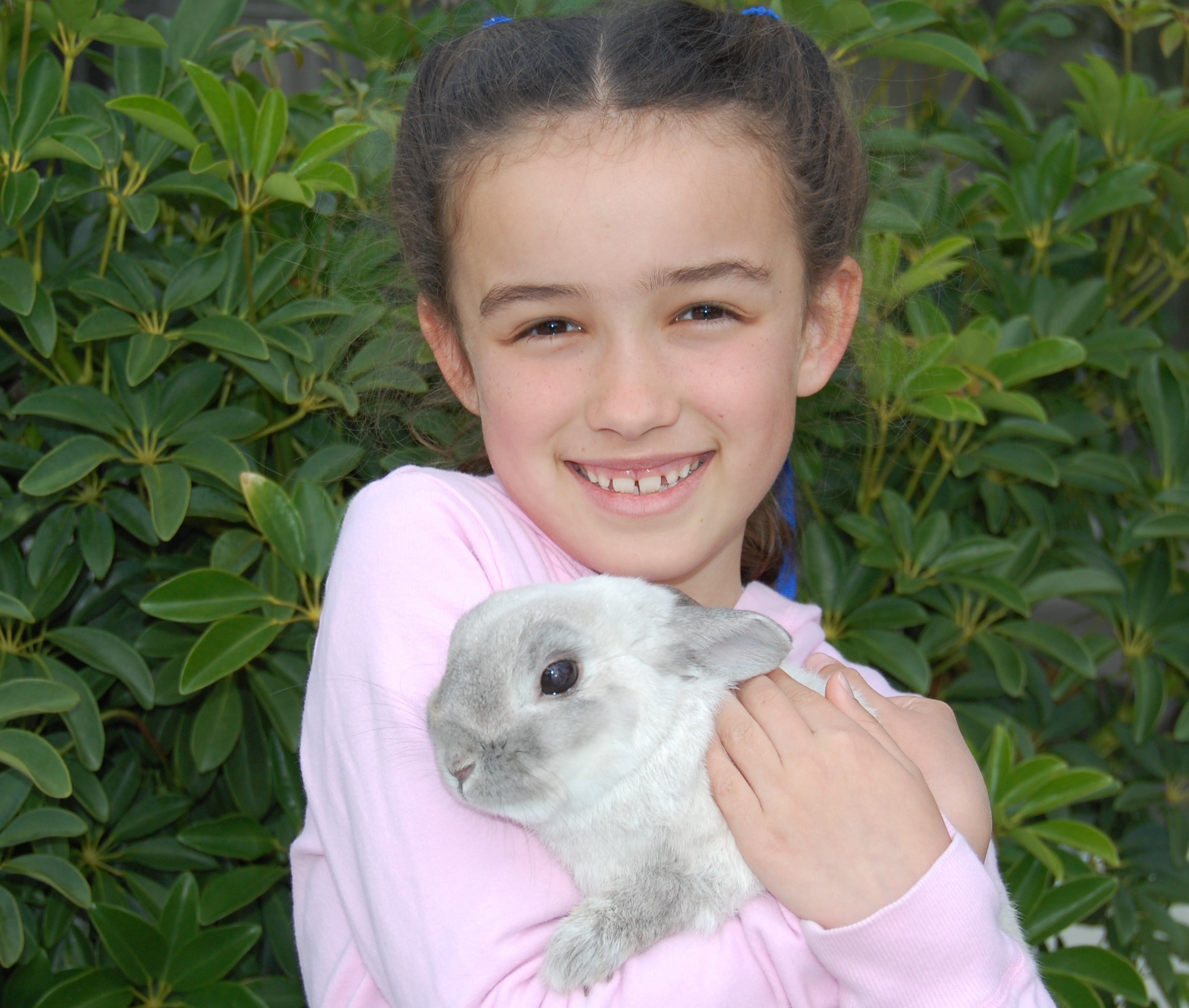 little girl with gray bunny