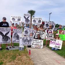 space coast animal rights resources
